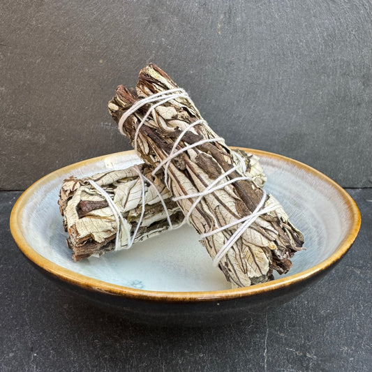 SAUGE YERBA SANTA
