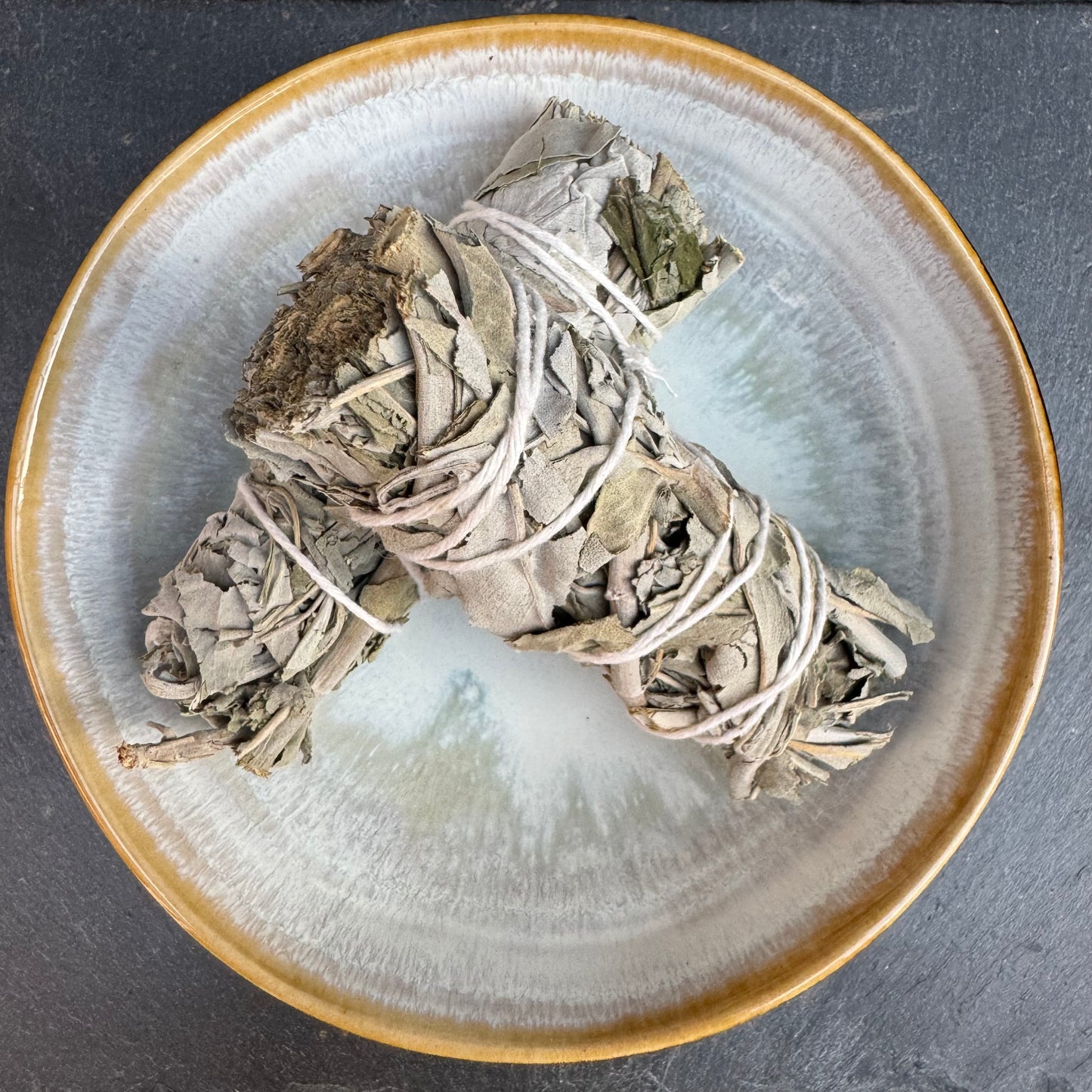 SAUGE BLANCHE